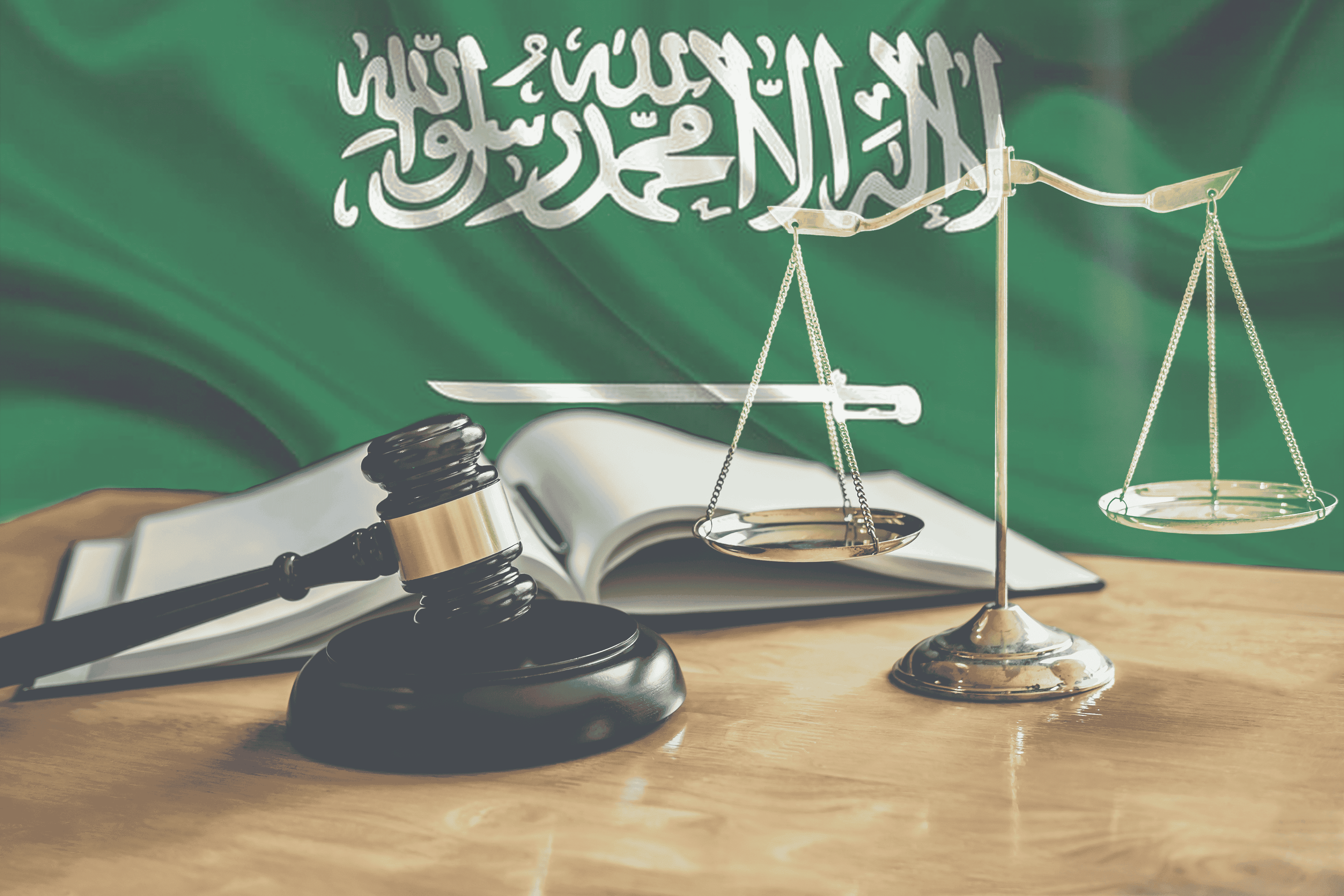 عن الشركة